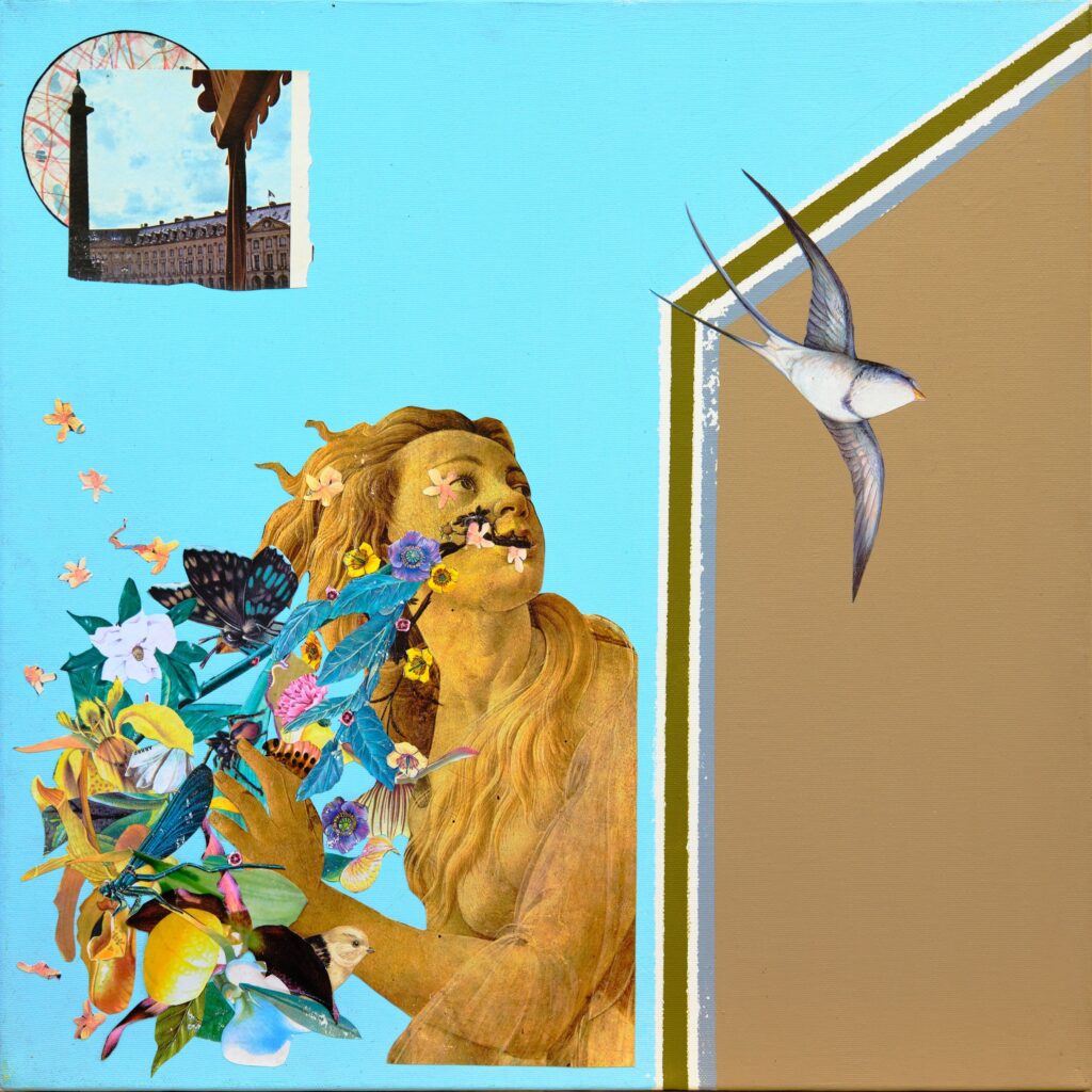 Poursuite de l’oiseau bleu docile 50X50cm