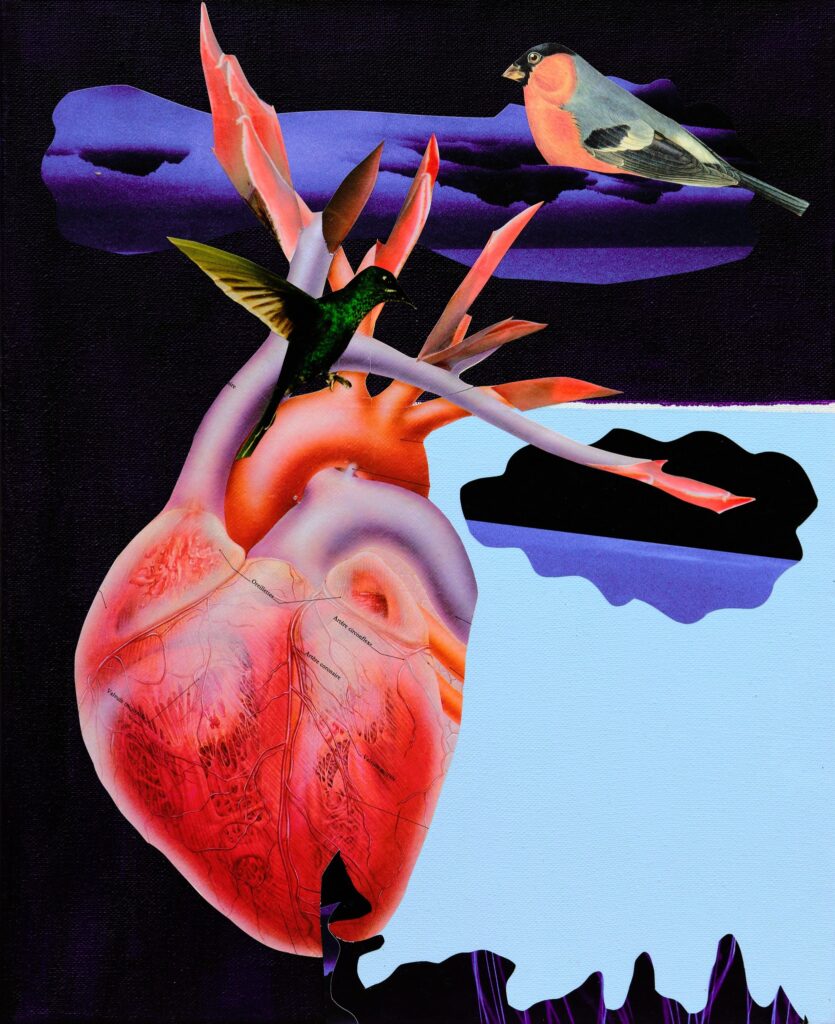 Cœur colibri 41X33,5cm